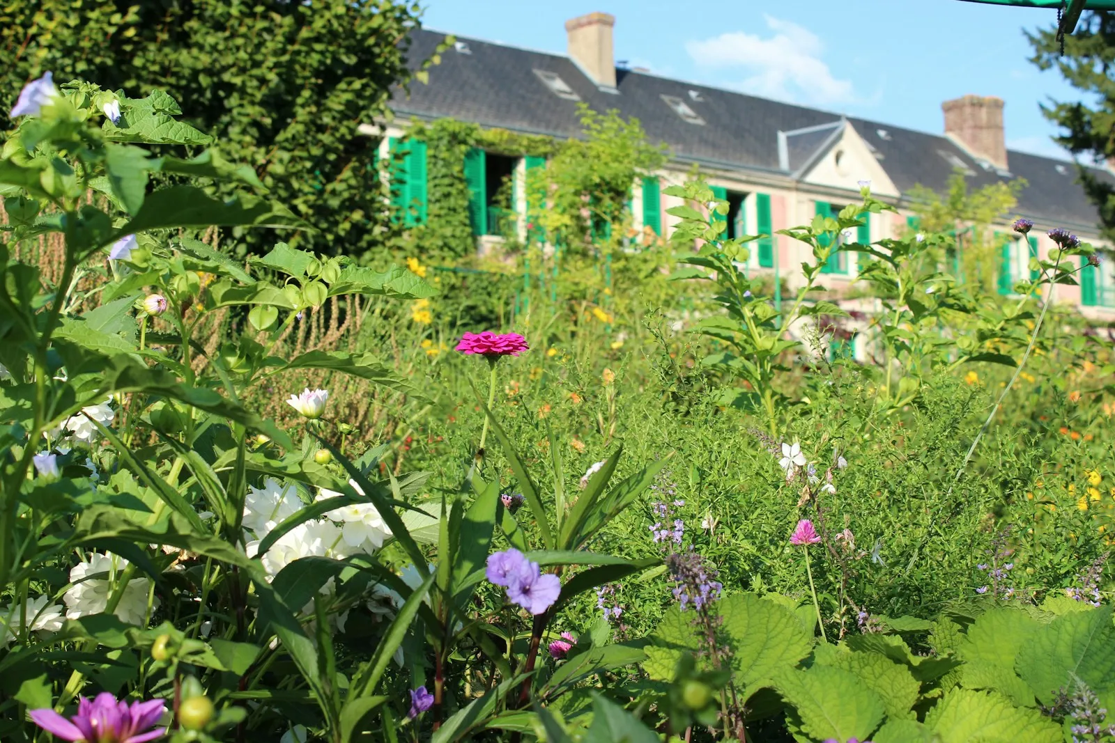 Une maison de campagne française aux volets verts, au milieu d'un jardin fleuri