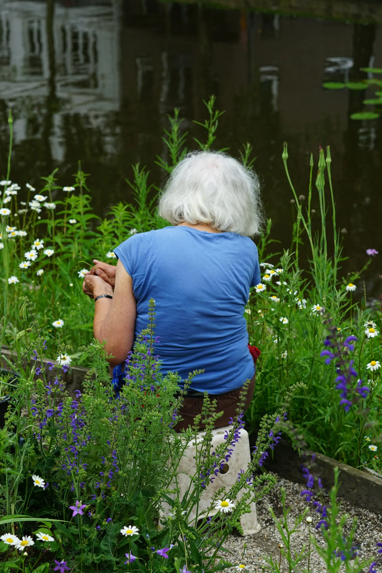 Une femme âgée, de dos, assise au milieu des fleurs d'un jardin au bord d'un bassin calme