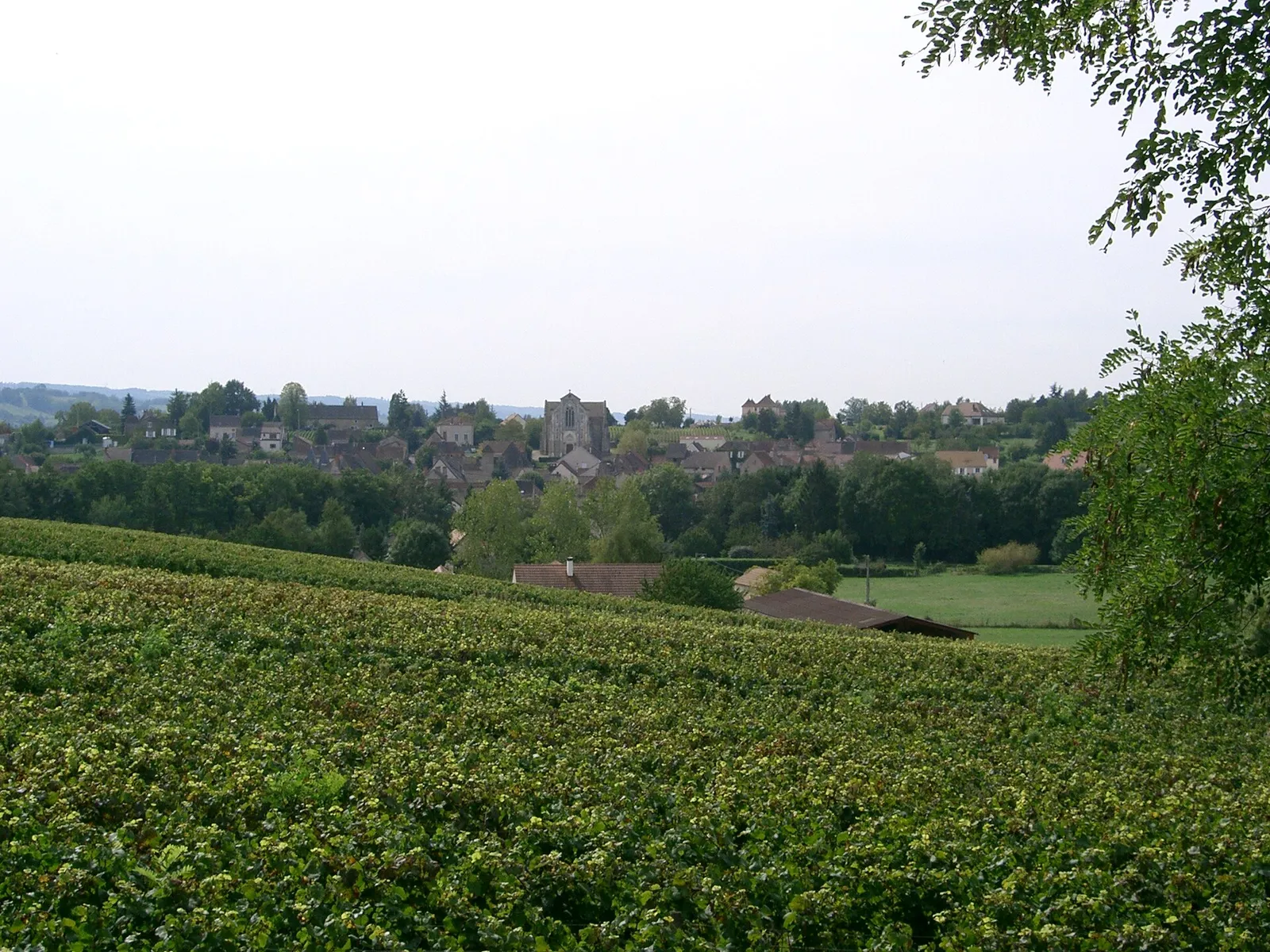 Le village de Cheilly-lès-Maranges et son église derrière les vignes, vu depuis la voie verte