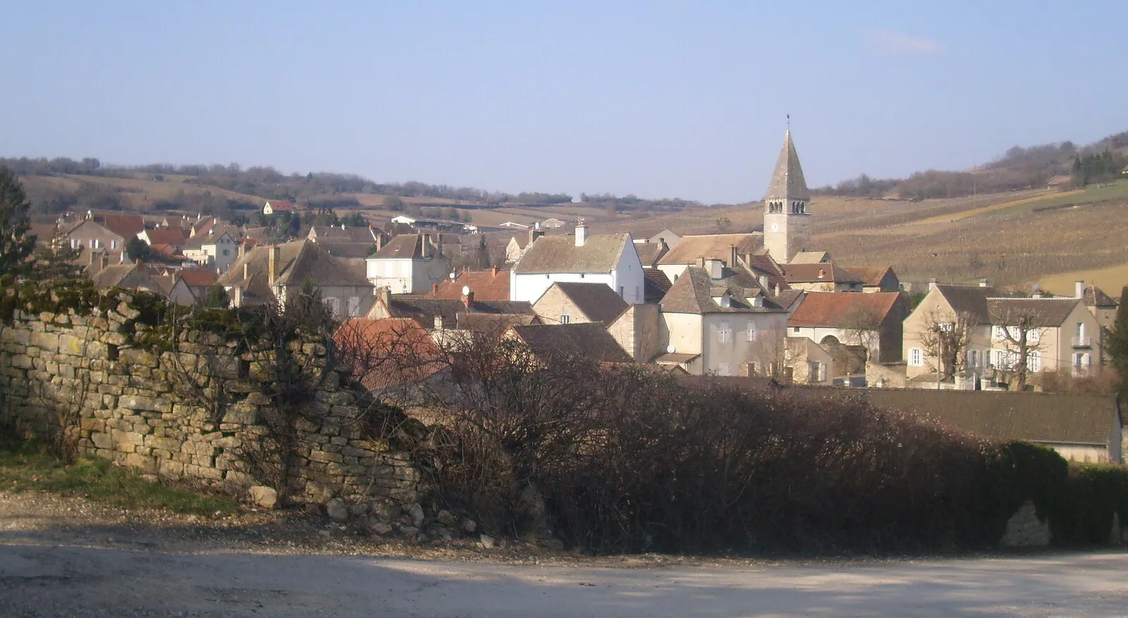Le village de Jambles et le clocher de l’église Saint-Bénigne entourés de vignes