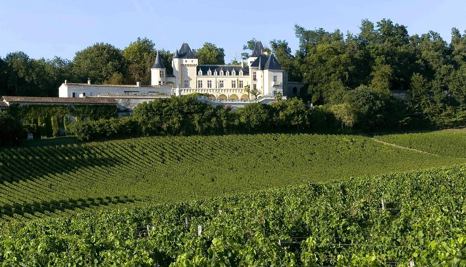 Le château de La Rivière au-dessus de ses vignes