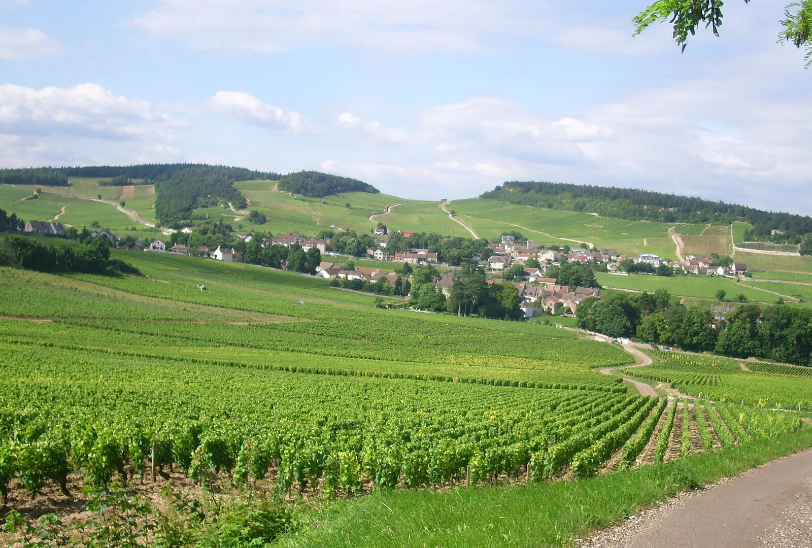 Le village de Mercurey au creux de ses coteaux de vignes, sous un ciel bleu