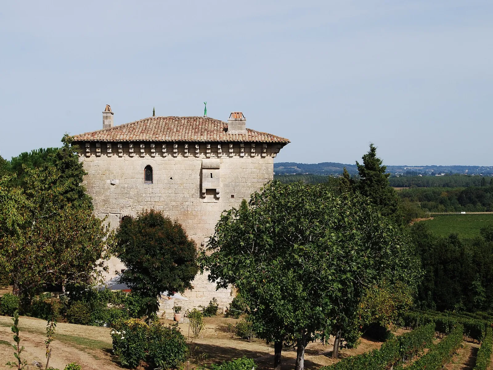 La tour d’Ansouhait, maison forte du XIVe siècle, au-dessus des vignes de Moulon