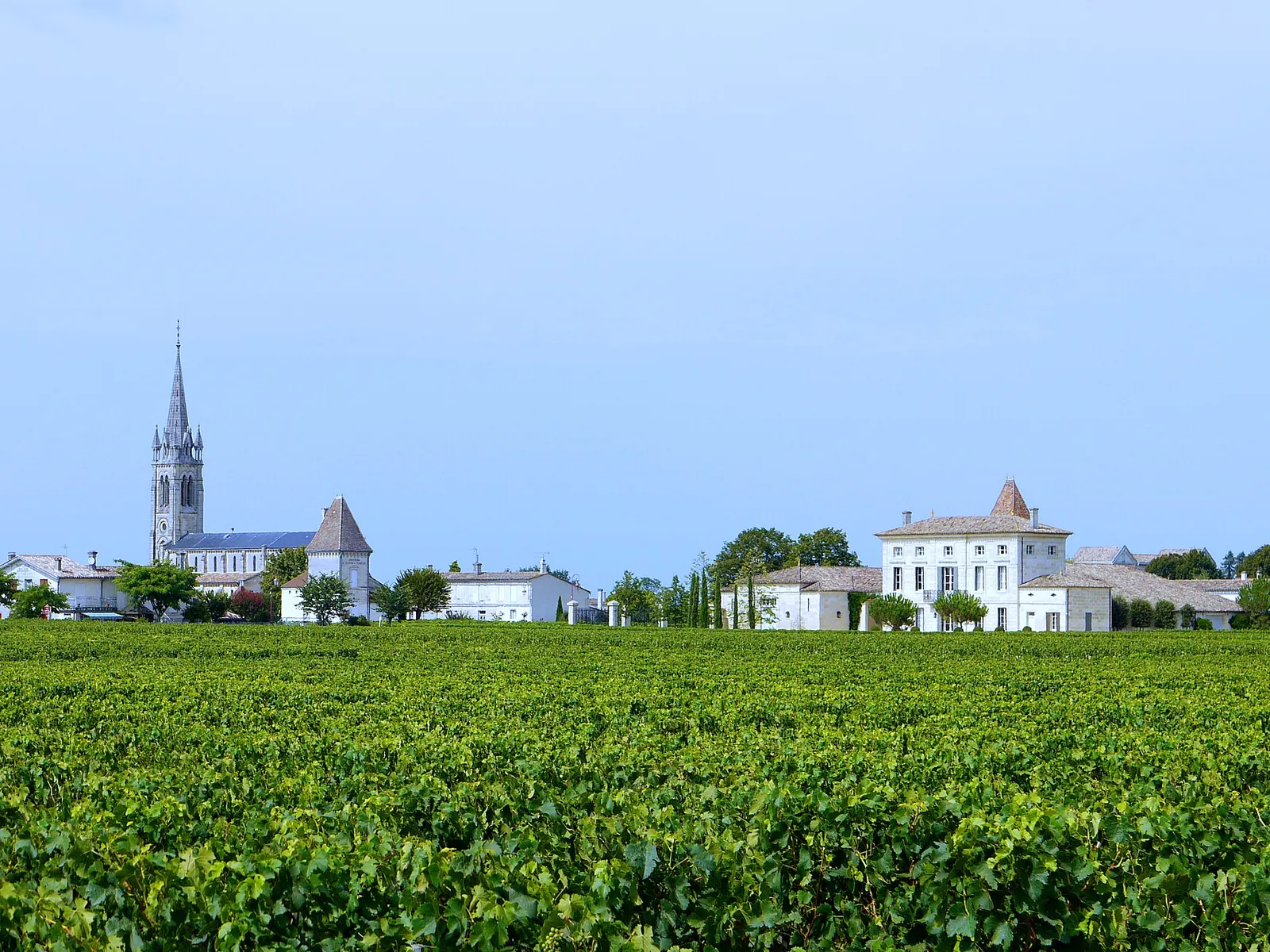Le clocher de l’église de Pomerol et les maisons du bourg au milieu des vignes