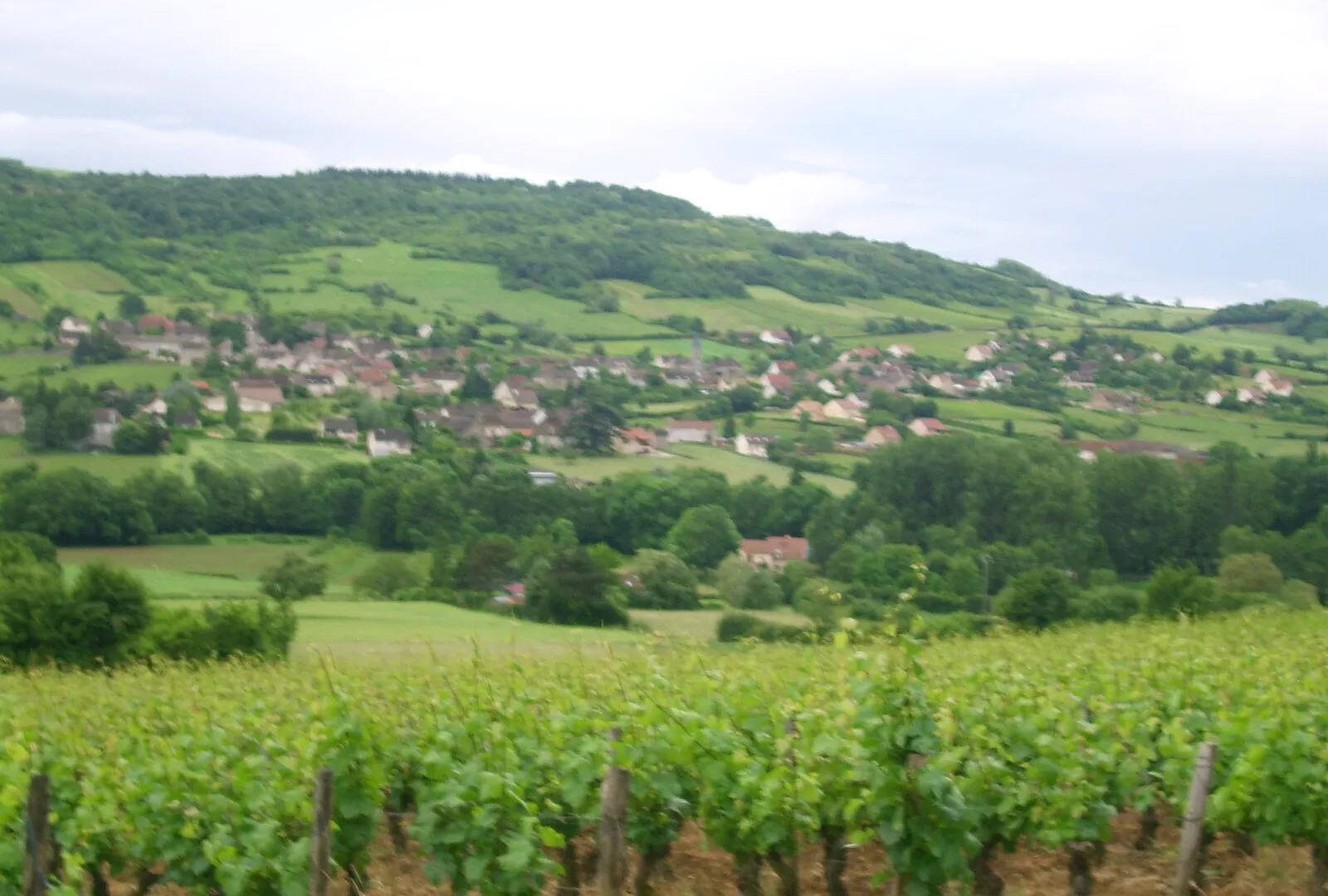 Le village de Saint-Denis-de-Vaux sur son coteau, au-dessus des vignes de la vallée des Vaux