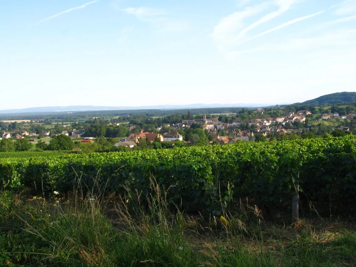 Le bourg de Saint-Désert au pied de la côte, vu depuis les vignes