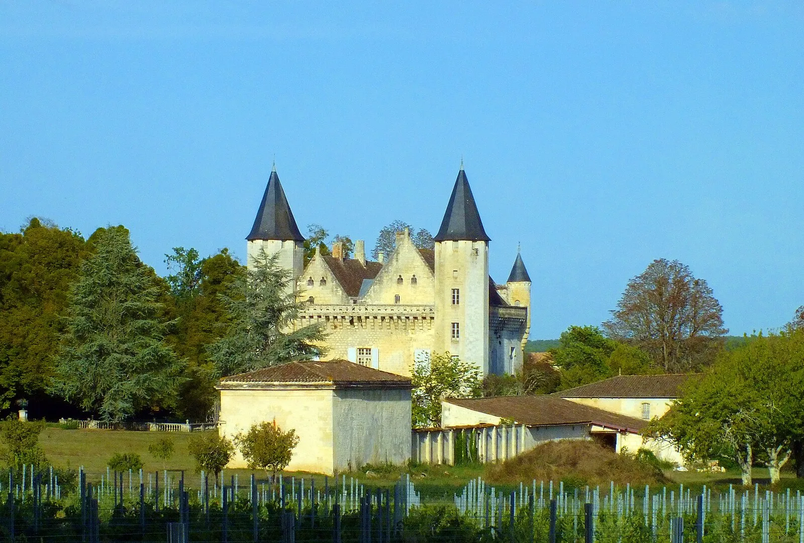 Le château du Grand-Puch derrière une parcelle de vigne
