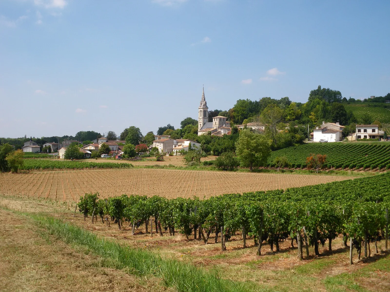Le bourg de Saint-Michel-de-Fronsac et son église au milieu des vignes