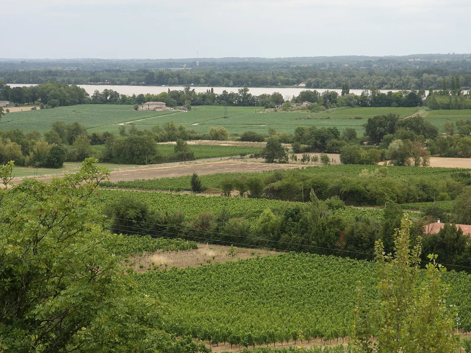 Vignes et cultures de Saint-Romain-la-Virvée, avec la Dordogne à l’horizon